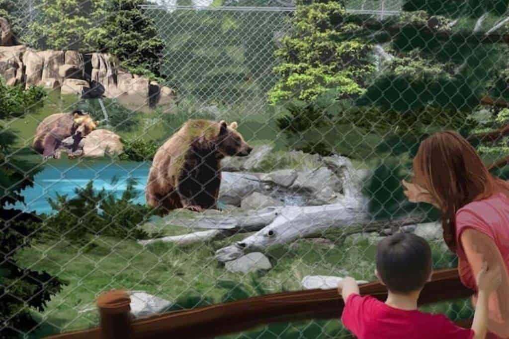 053 Happy Fox Big Bear Vacation Rentals
