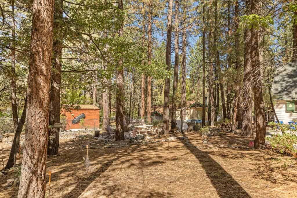 024 Oak Hollow Retreat Big Bear Vacation Rentals