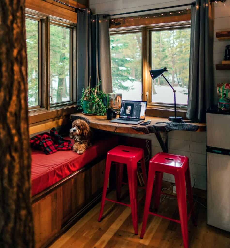 pet friendly airbnb cabins